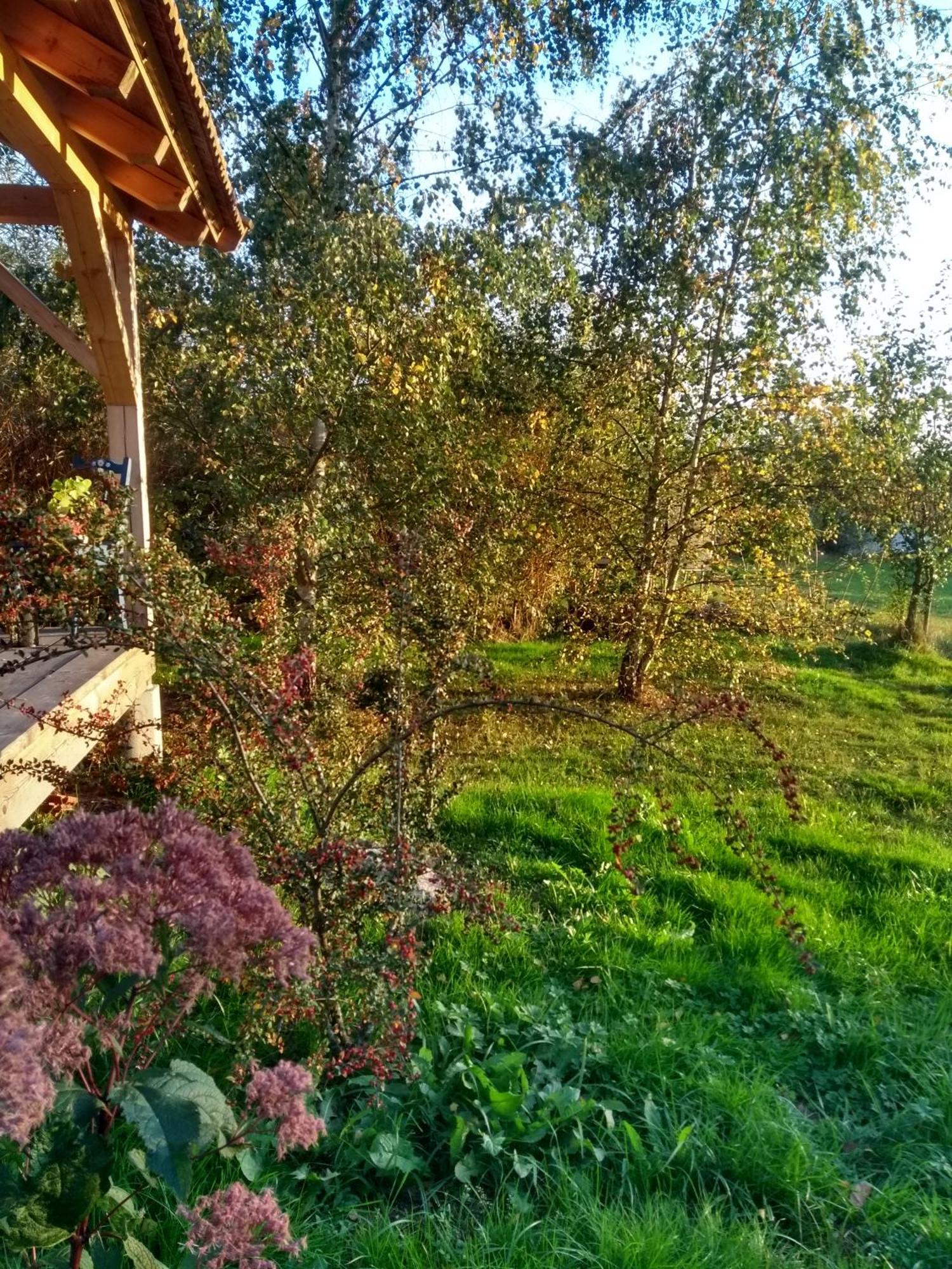 Luxuszelt Entspannung Im Zirkuswagen: Aussergewoehnliche Und Liebevoll Eingerichtete Glamping-unterkunft Im Gruenen